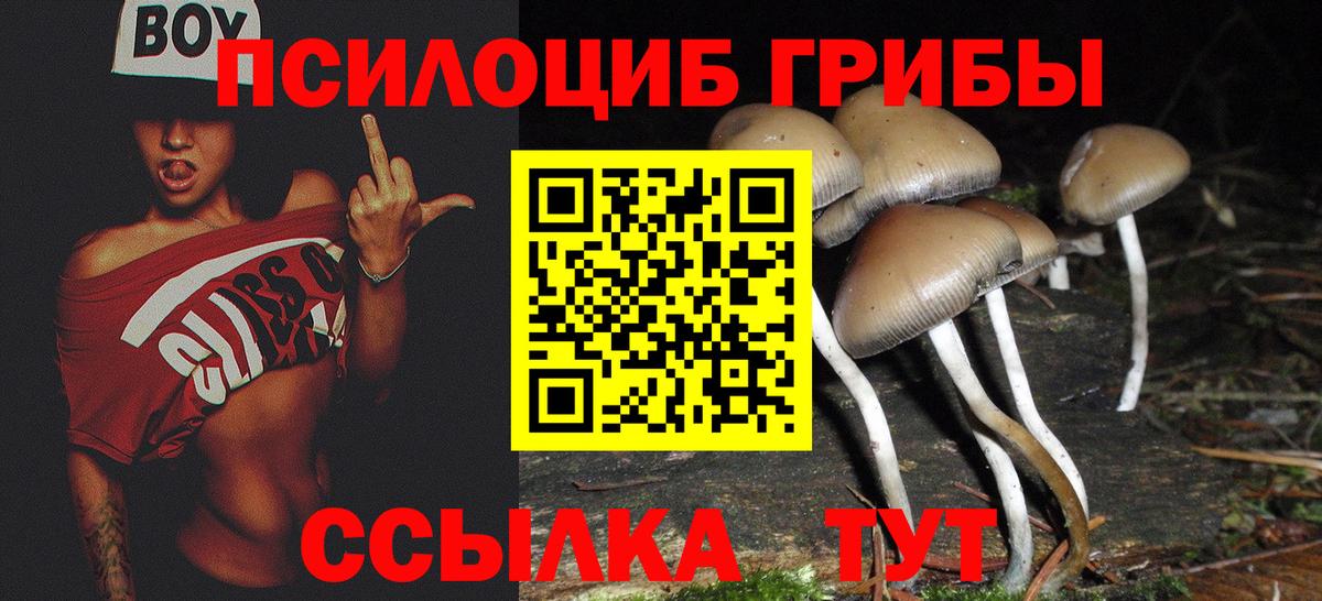 Томск  магазин продажи   Вход с VPN  Галлюциногенные грибы мицелий 